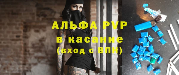 сатива Покачи