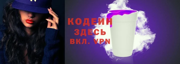сатива Покачи