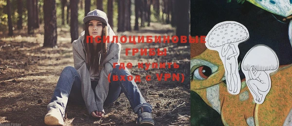 молекула духа Баксан