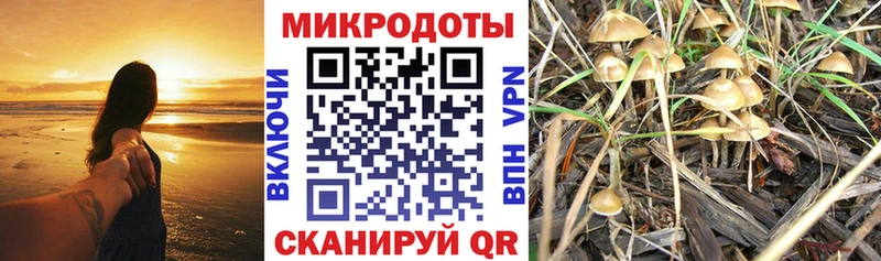 нарко площадка состав Нюрба Псилоцибиновые грибы Psilocybe