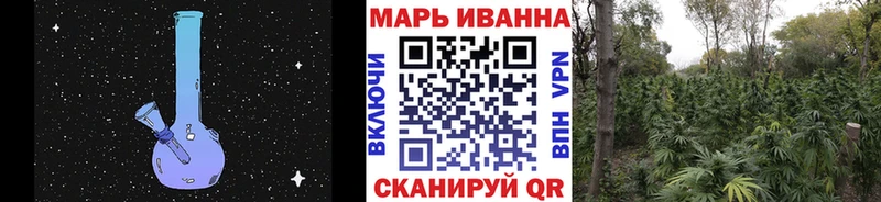 Конопля Amnesia  где найти   Нюрба 